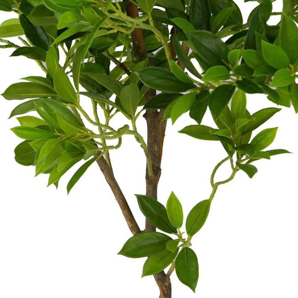 фото Искусственные растения Дерево счастья MK-7406-FT 0х0х165 см Темно-зеленый
