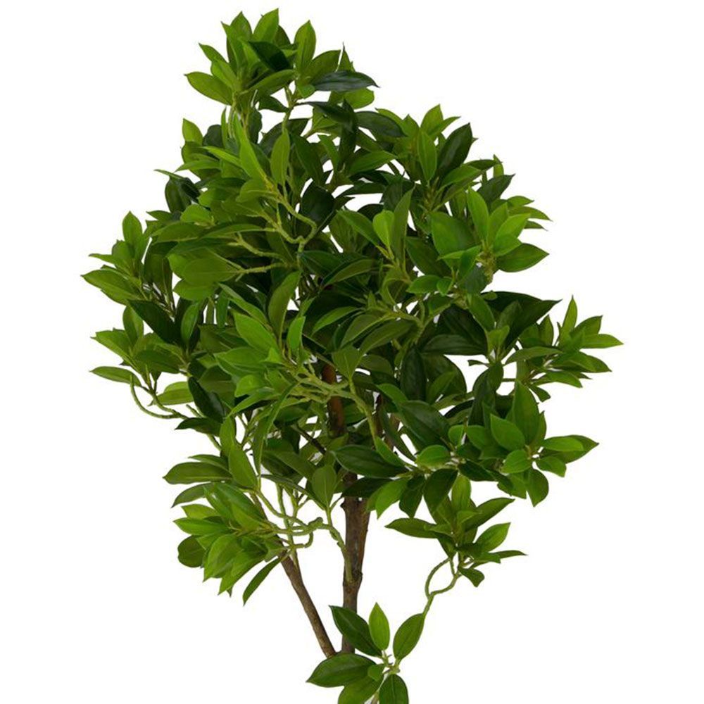 фото Искусственные растения Дерево счастья MK-7406-FT 0х0х165 см Темно-зеленый